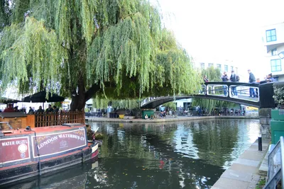 DSC_0428 (Large).JPG